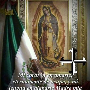 Meet your Posher, Miriam